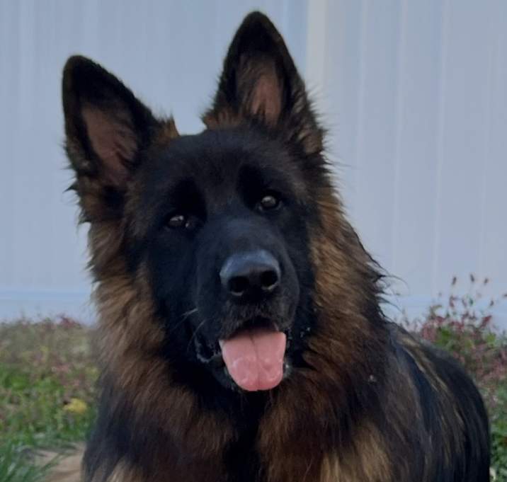 Photo of Greta