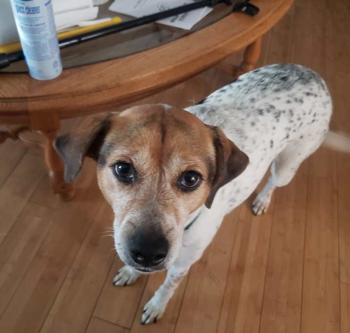 Photo of SHILOH