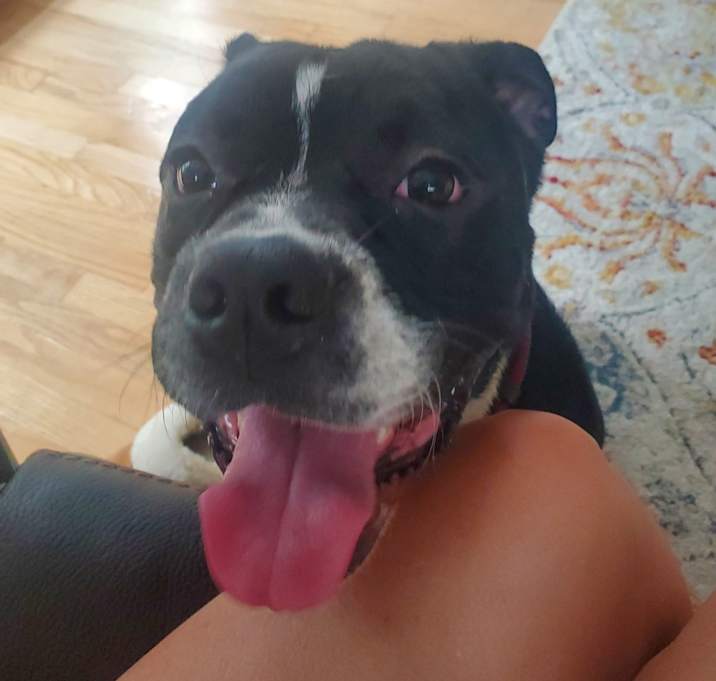 Photo of Apollo