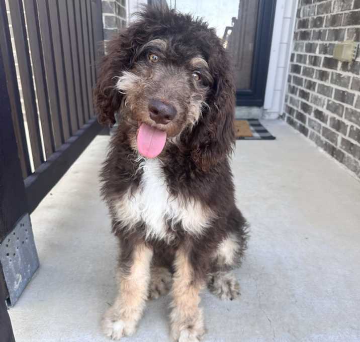 Photo of Frankie
