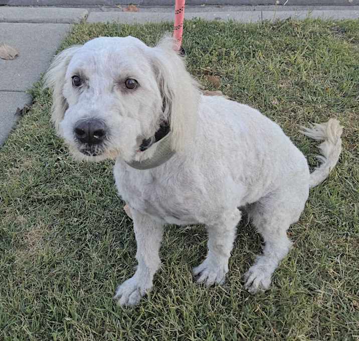 Photo of Ramona