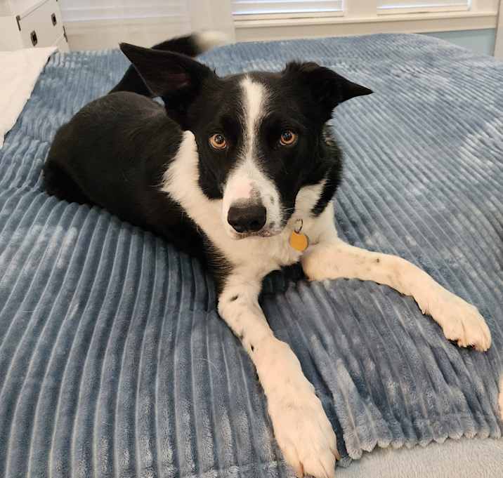 Photo of Jaxson