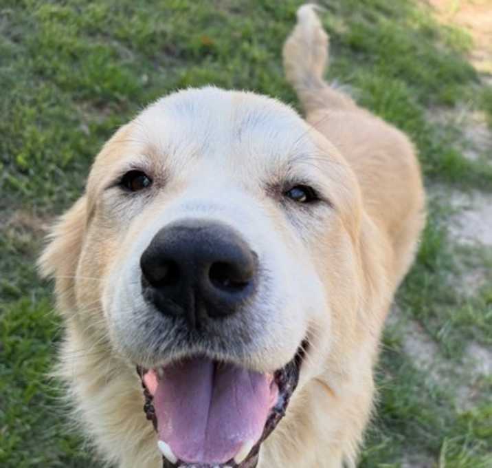 Photo of JUNO