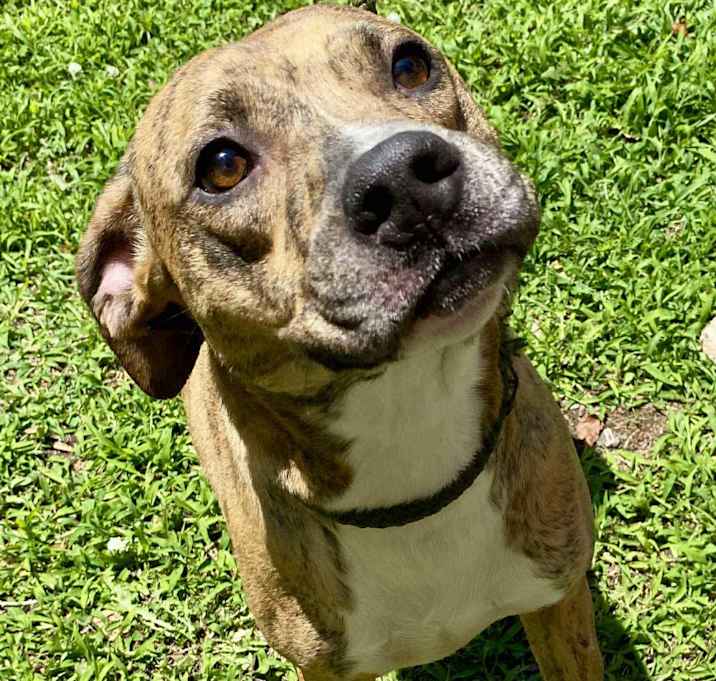 Photo of Luna
