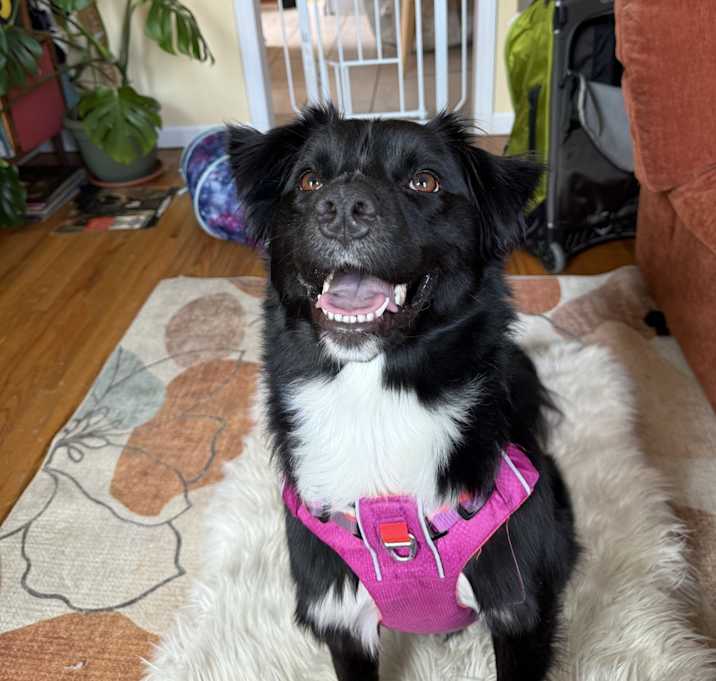 Photo of Aspen
