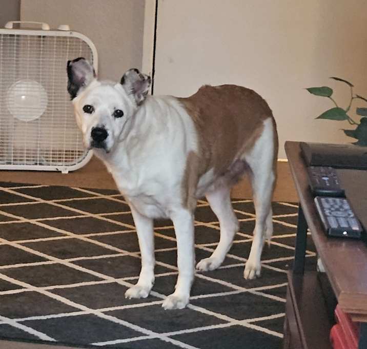 Photo of Annabelle