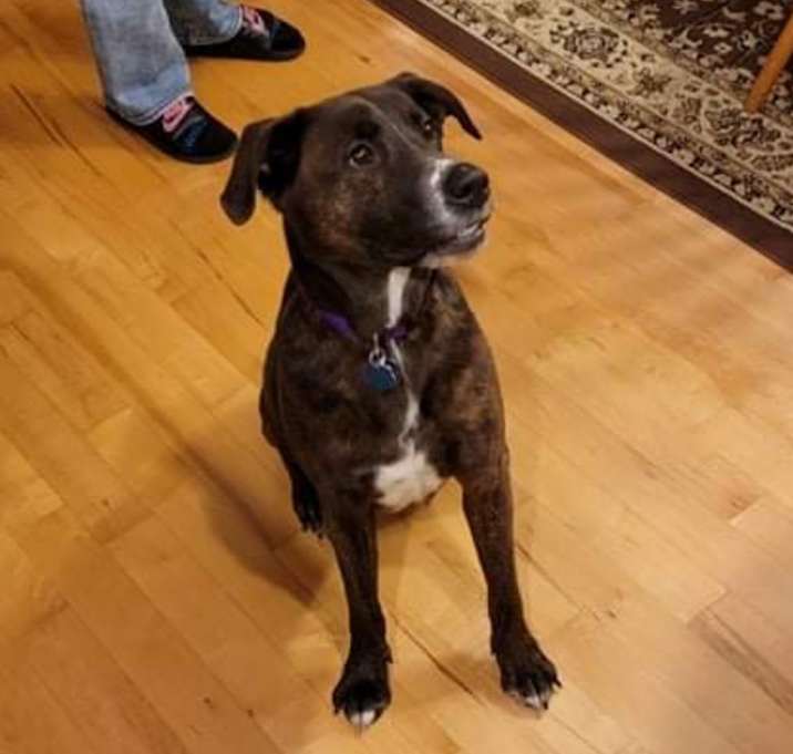 Photo of Maci