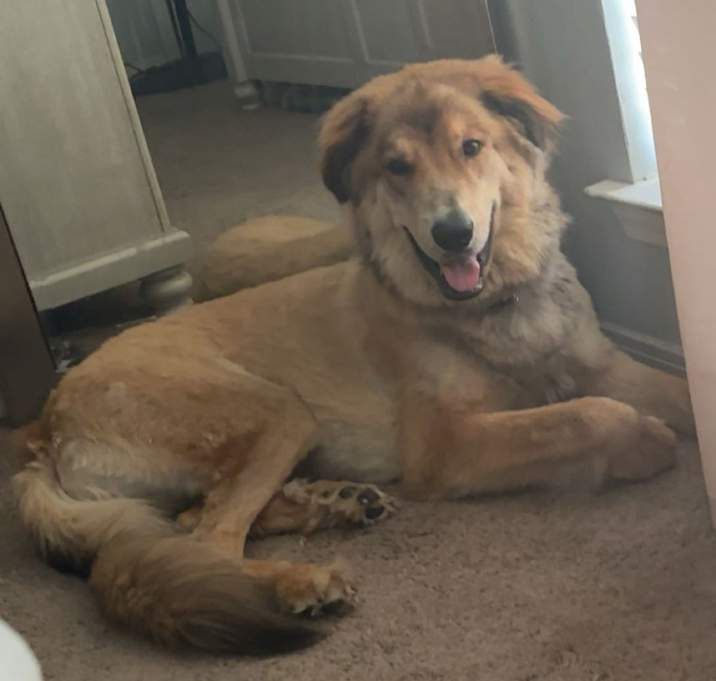 Photo of Maverick