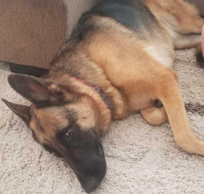 Photo of Lexi