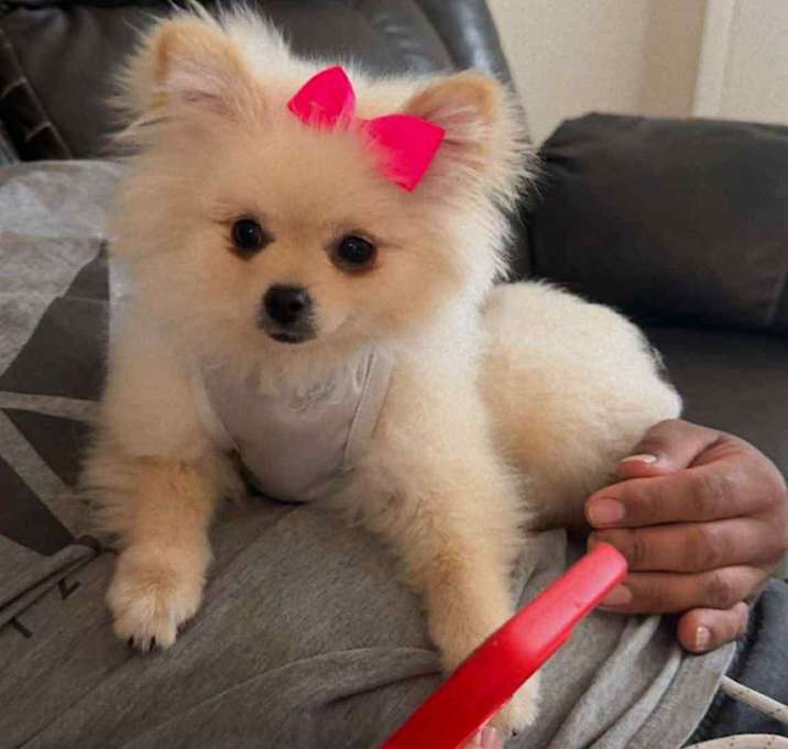 Photo of Chanel