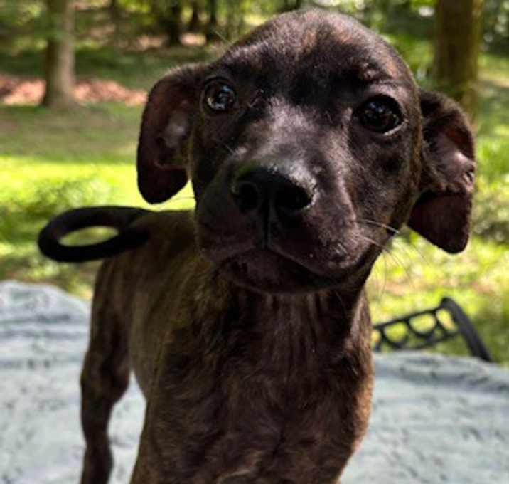 Photo of Malina in CT