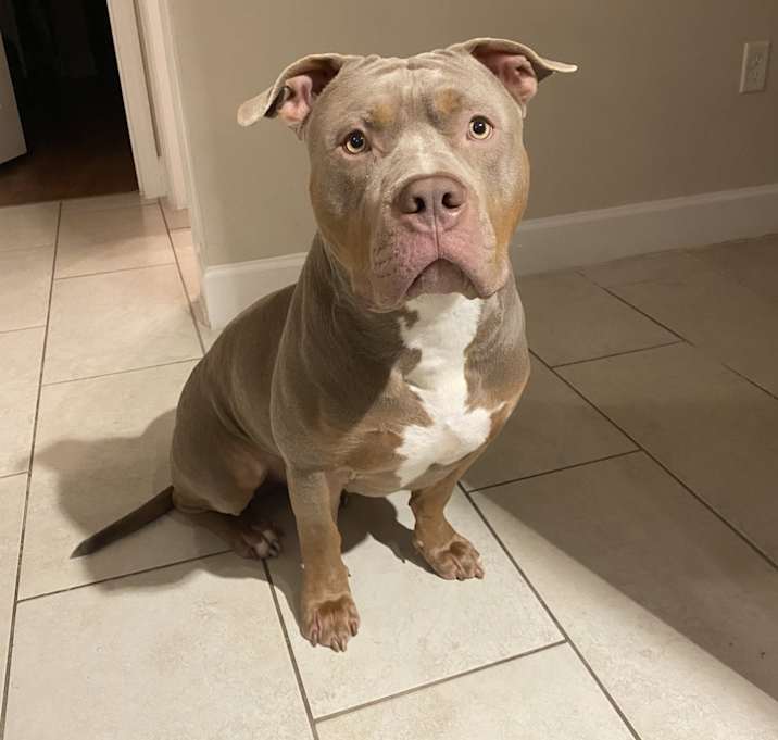 Photo of Jax