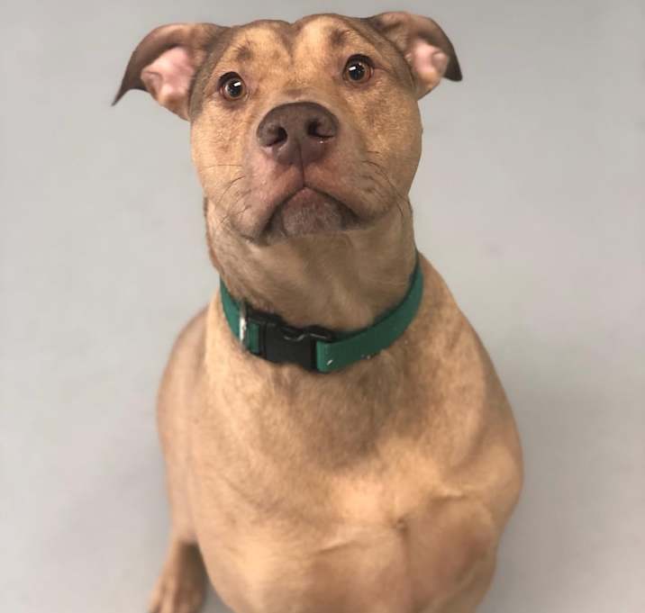 Photo of Zeus