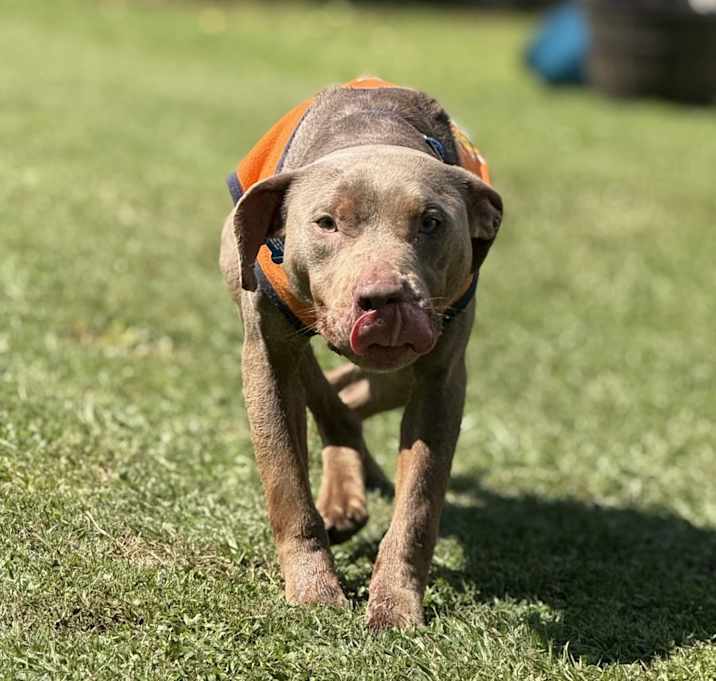 Photo of Elmer