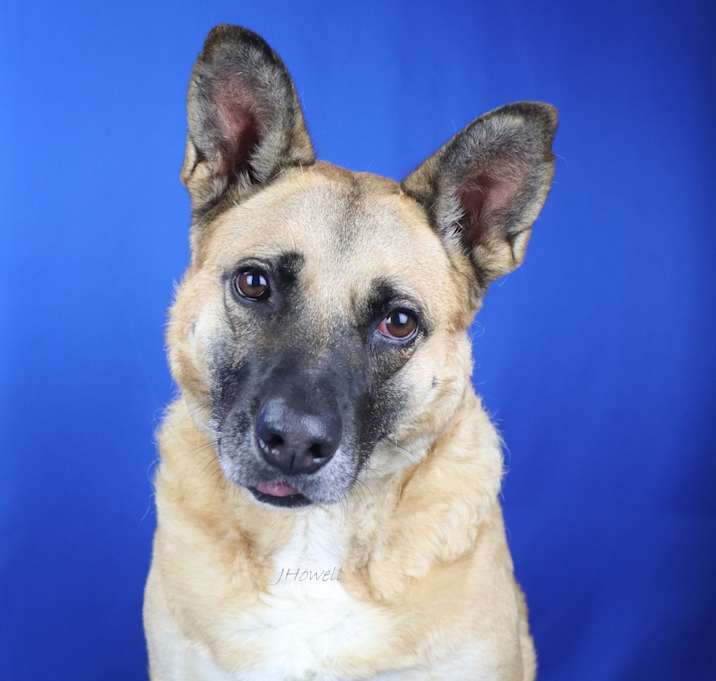 Photo of Honey- 053001T 2