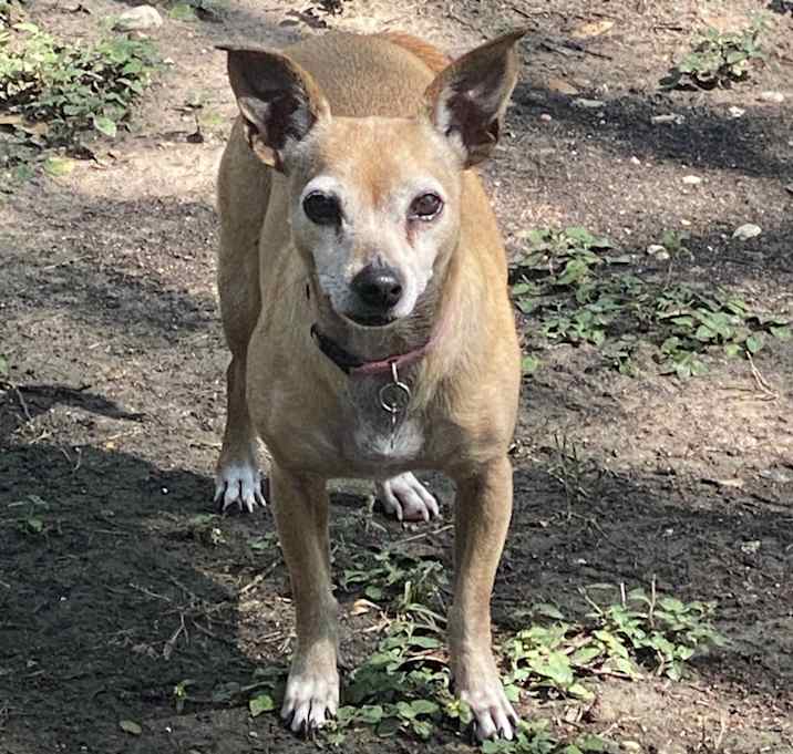 Photo of Sweetie