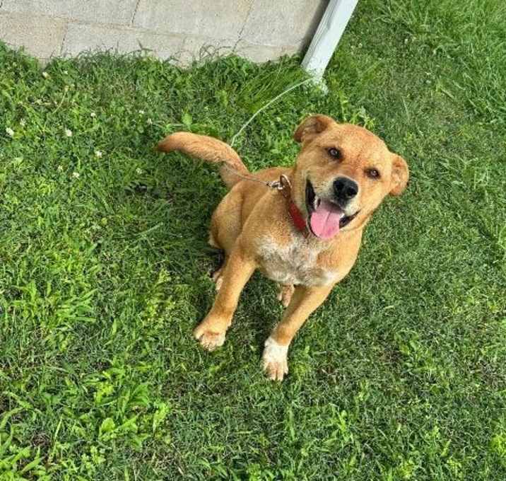 Photo of Buster