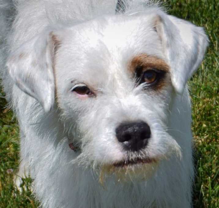 Photo of Lulu