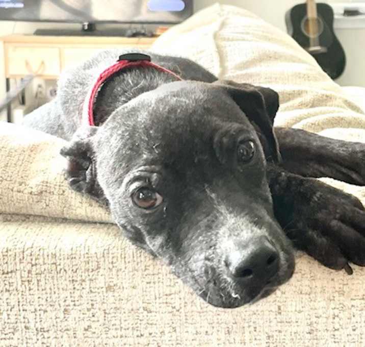 Photo of Oliver