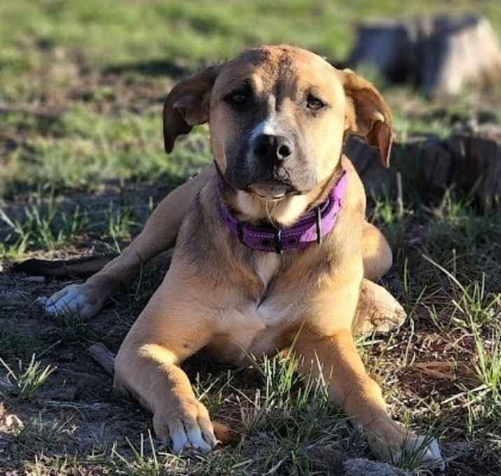 Photo of Arya