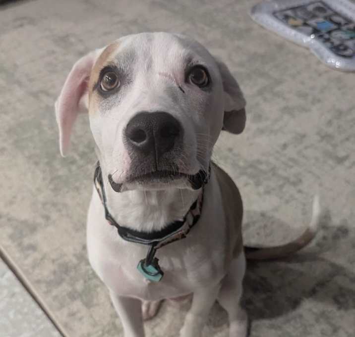 Photo of Tex