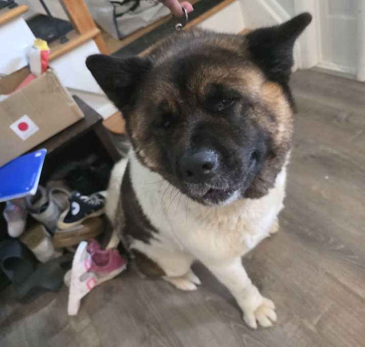 Photo of Athena