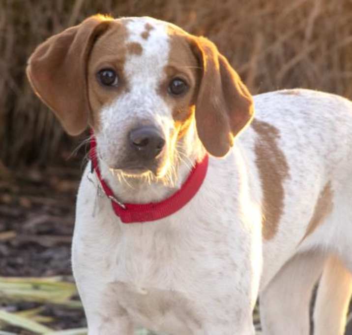 Photo of DAISY