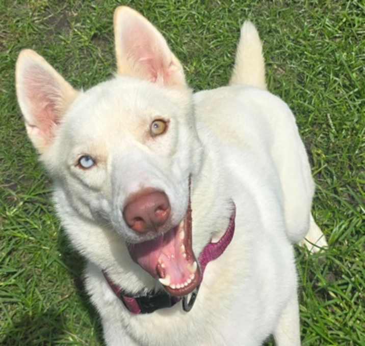 Photo of Mystic
