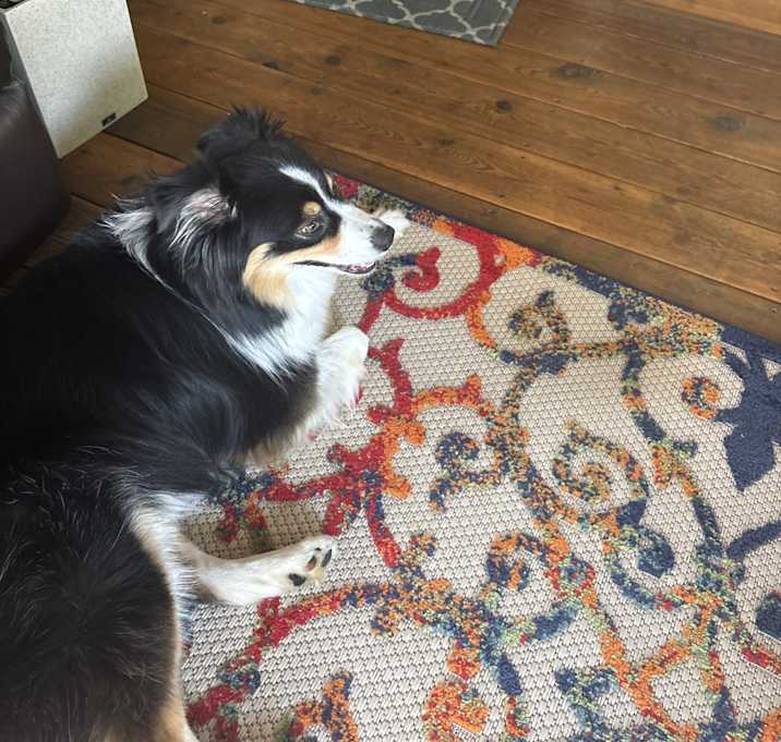 Photo of Lolo
