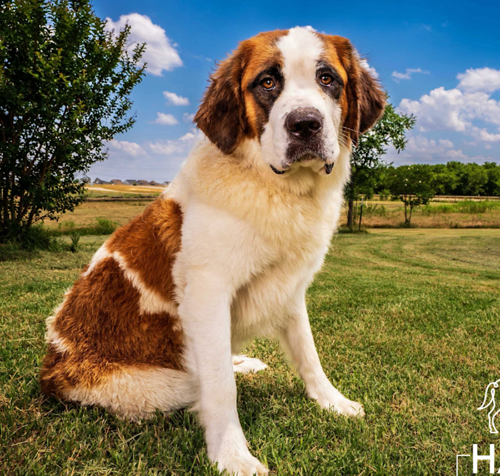 Photo of Pippa