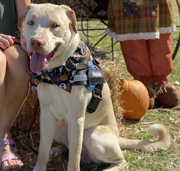 Photo of Tucker