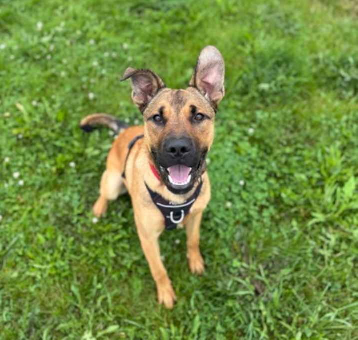 Photo of Teddy