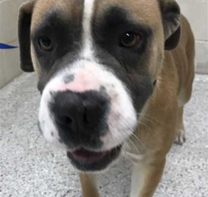 Photo of HONEY