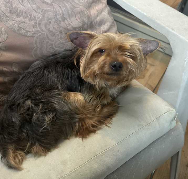 Photo of GUS GUS
