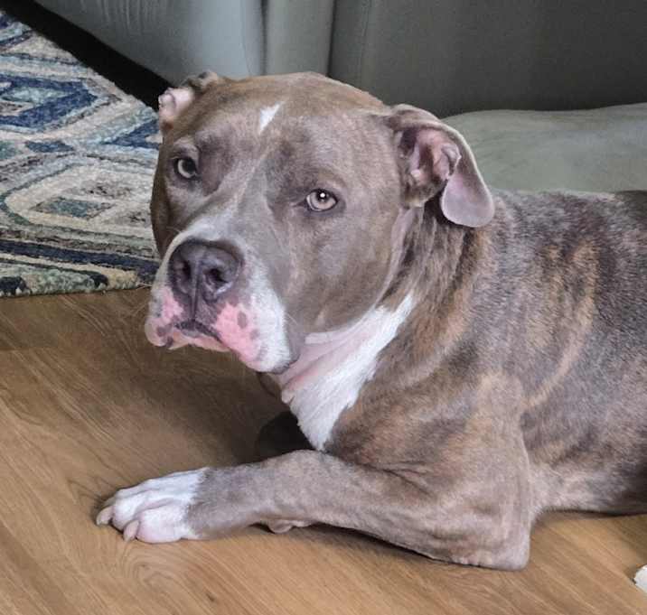 Photo of Remy