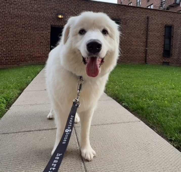 Photo of Tilly