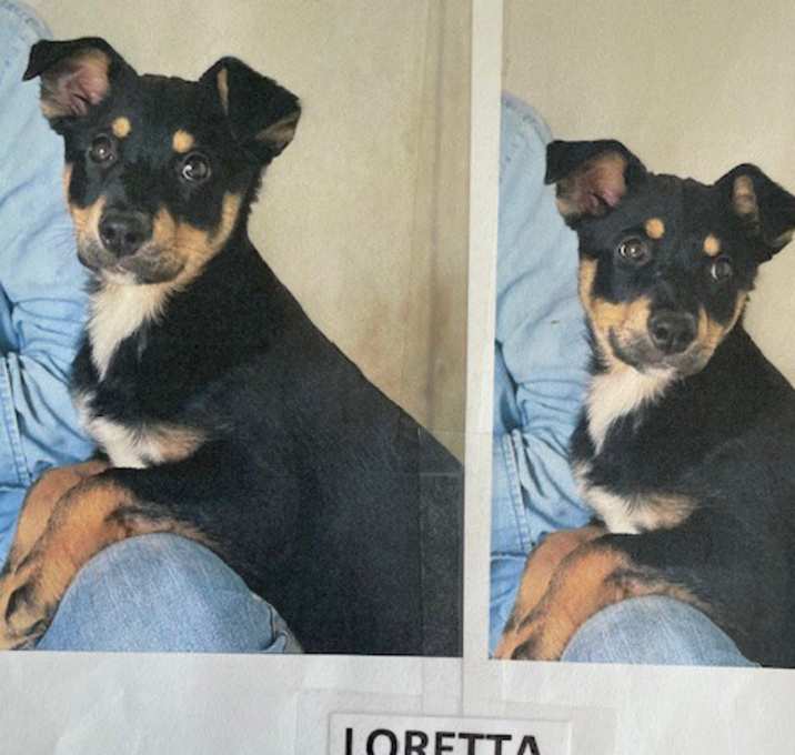 Photo of Loretta