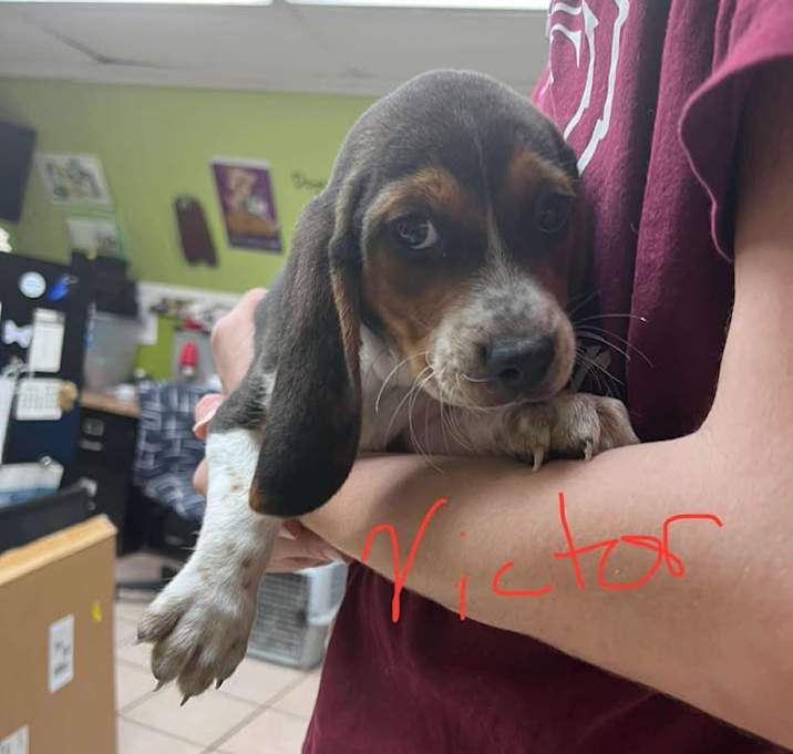 Photo of Victor