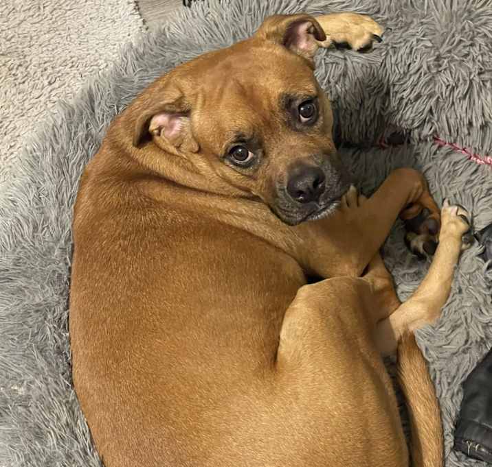 Photo of Nyla