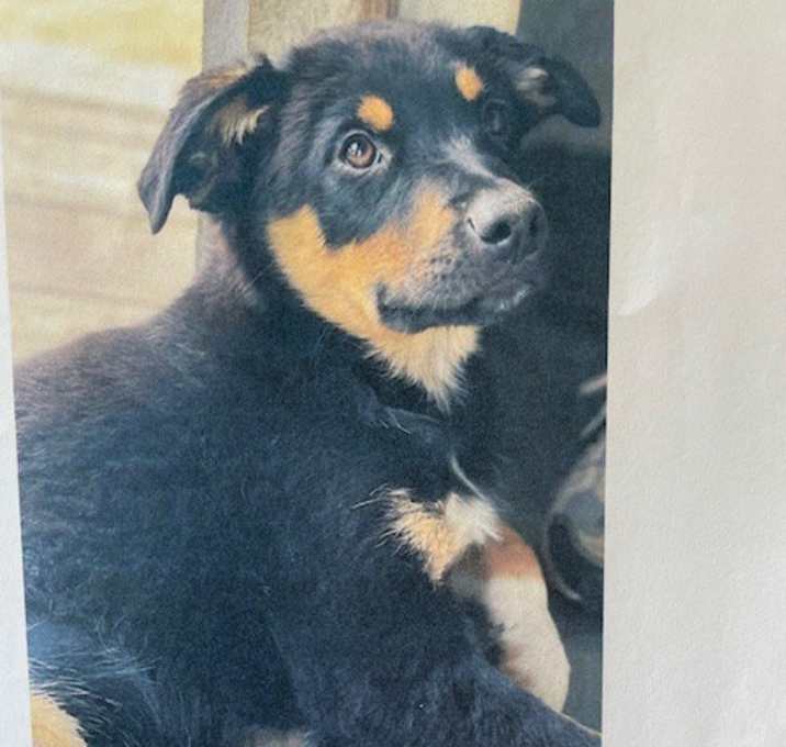 Photo of Blake