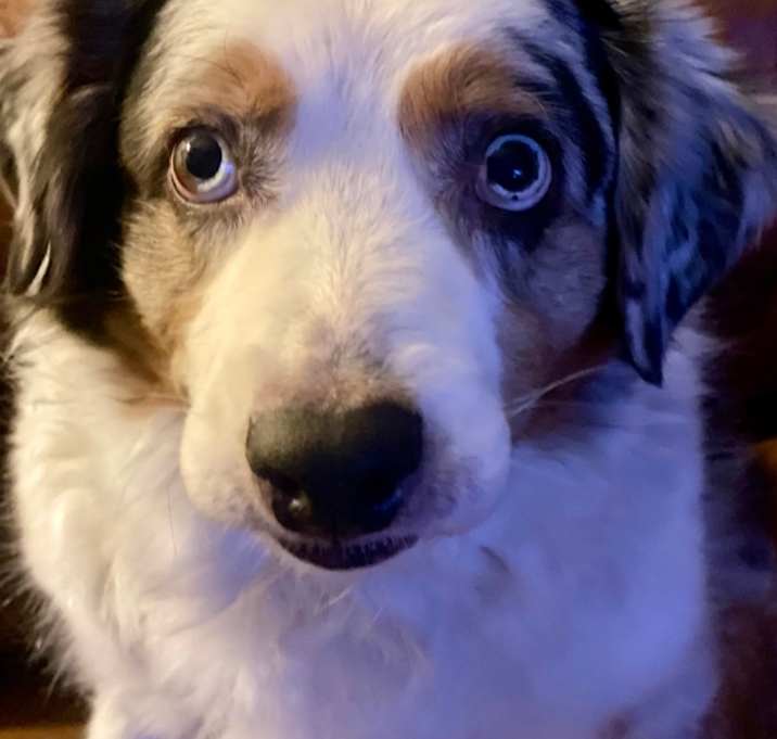 Photo of Oakley