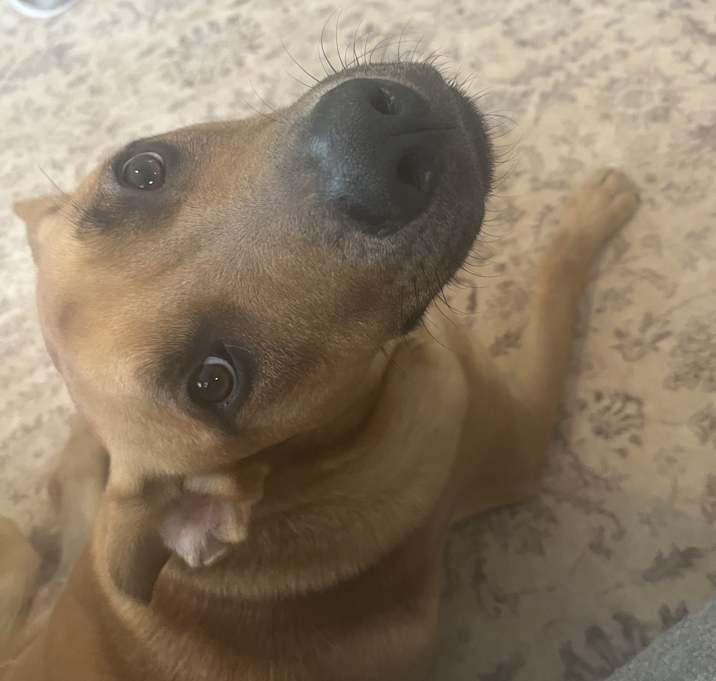 Photo of Butters