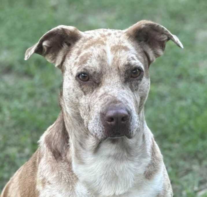 Photo of Bernadette