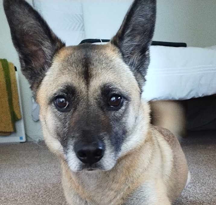 Photo of Monica
