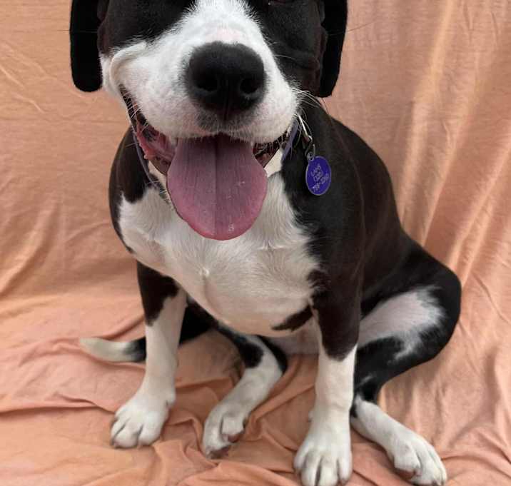 Photo of Zelie