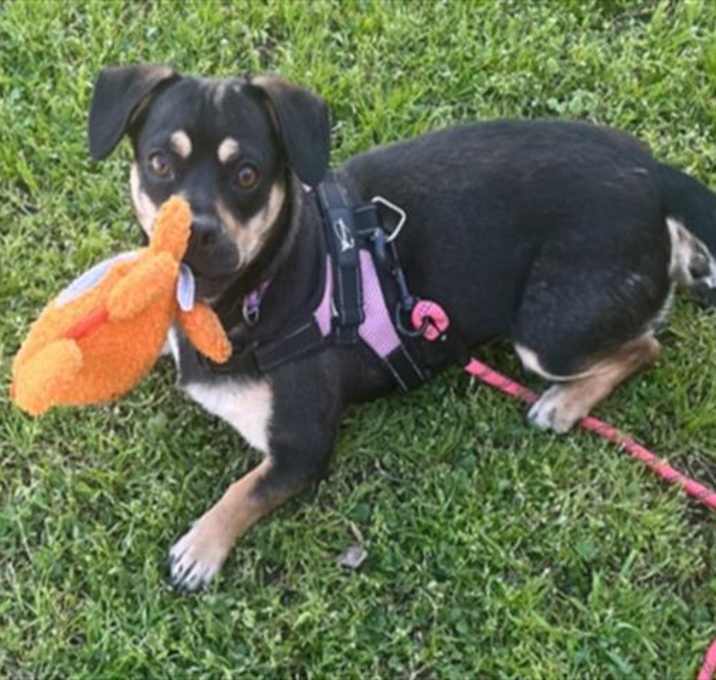 Photo of BELLA