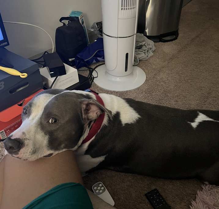 Photo of Kylo