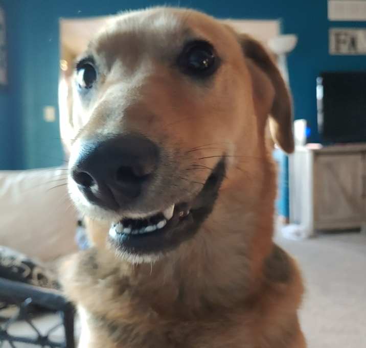 Photo of Mia