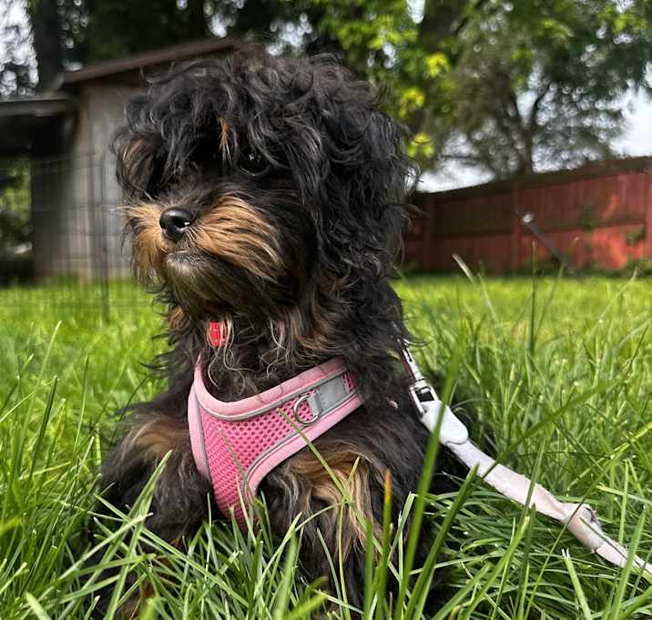Photo of Marisol