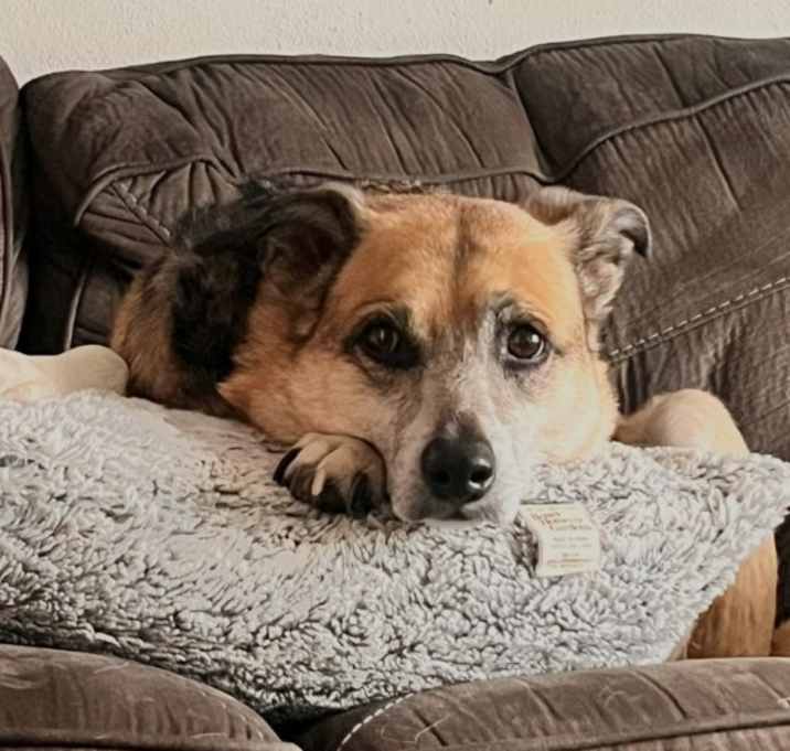 Photo of Benny